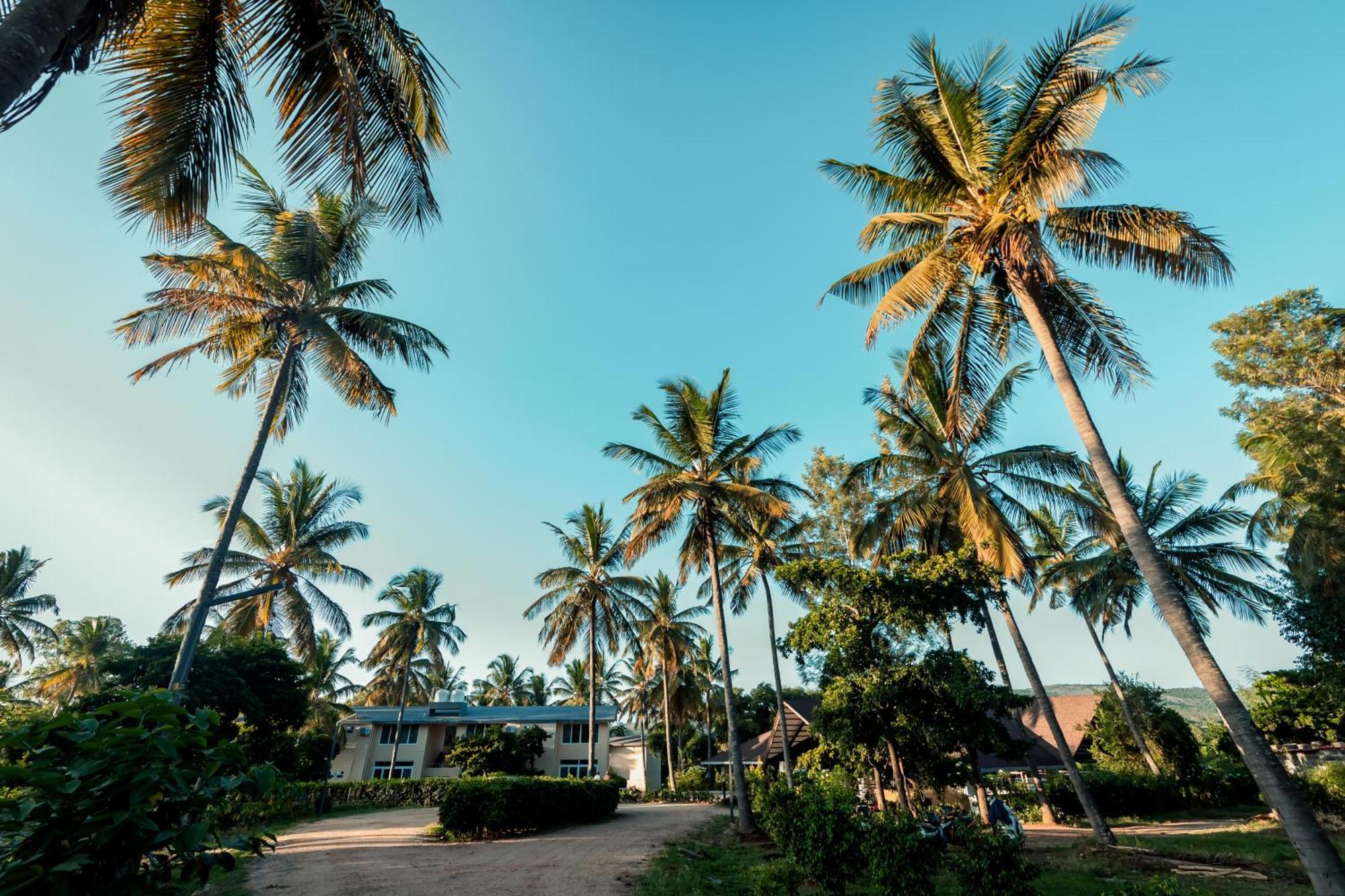 Commune18 Spa Resorts Chikmagalūr Exteriér fotografie